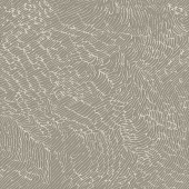 Дорожка ПРИНТ Gissar 608P/A/Т.БЕЖ/81 0,8м