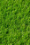 Ковровое покрытие SRI LANKA 20 (трава) GREEN 1,0м